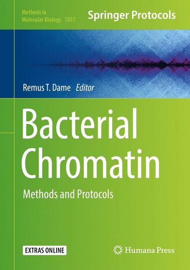 bokomslag Bacterial Chromatin