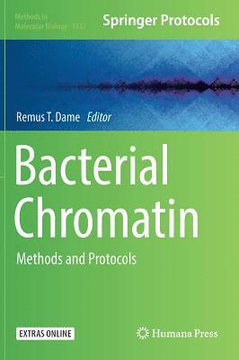 Bacterial Chromatin 1