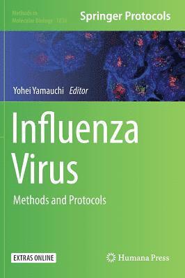 Influenza Virus 1