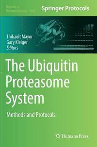bokomslag The Ubiquitin Proteasome System