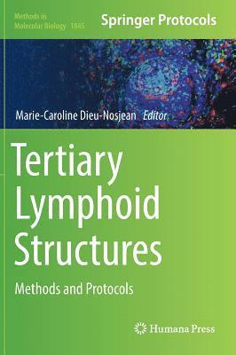 Tertiary Lymphoid Structures 1