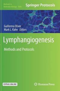 bokomslag Lymphangiogenesis