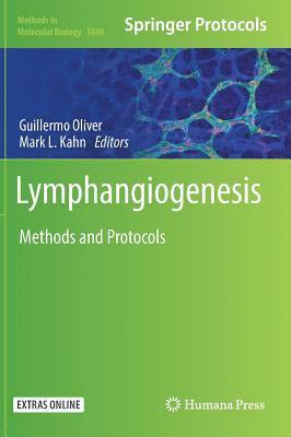 Lymphangiogenesis 1