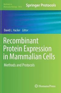 bokomslag Recombinant Protein Expression in Mammalian Cells