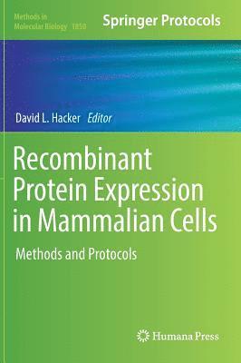 Recombinant Protein Expression in Mammalian Cells