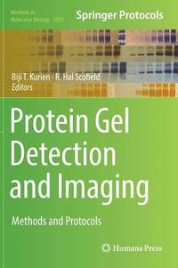 bokomslag Protein Gel Detection and Imaging