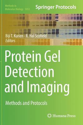 Protein Gel Detection and Imaging