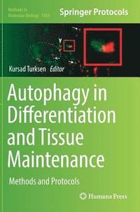 bokomslag Autophagy in Differentiation and Tissue Maintenance