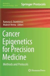 bokomslag Cancer Epigenetics for Precision Medicine