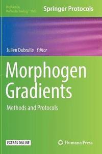 bokomslag Morphogen Gradients