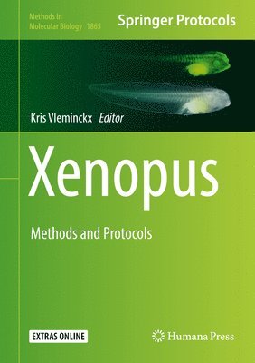 bokomslag Xenopus