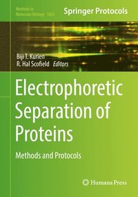 bokomslag Electrophoretic Separation of Proteins