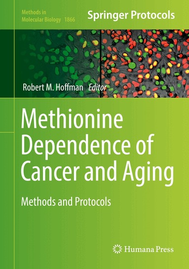Robert M. Hoffman - Methionine Dependence of Cancer and Aging, Inbunden
