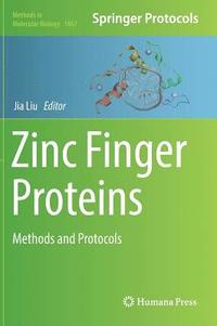 bokomslag Zinc Finger Proteins