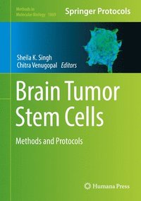 bokomslag Brain Tumor Stem Cells