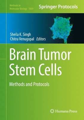 Brain Tumor Stem Cells 1