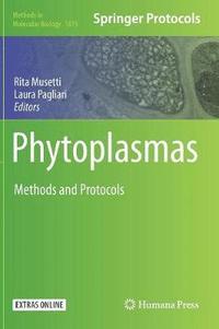 bokomslag Phytoplasmas