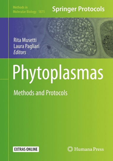 bokomslag Phytoplasmas