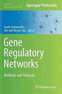 bokomslag Gene Regulatory Networks