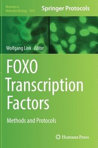 bokomslag FOXO Transcription Factors