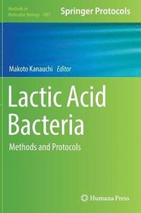 bokomslag Lactic Acid Bacteria