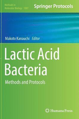 bokomslag Lactic Acid Bacteria