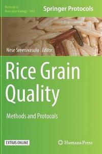 bokomslag Rice Grain Quality