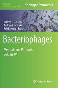 bokomslag Bacteriophages