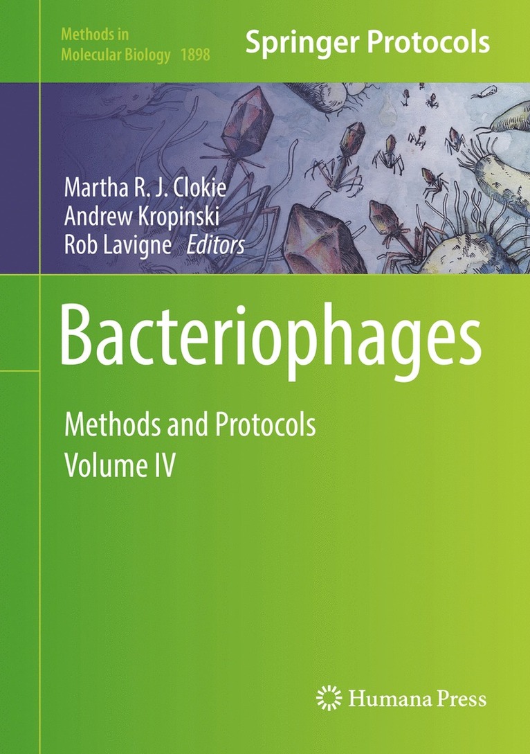 Martha R. J. Clokie, Andrew Kropinski, Rob Lavigne - Bacteriophages, Inbunden