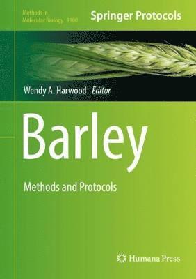 bokomslag Barley