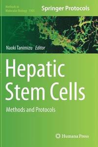 bokomslag Hepatic Stem Cells