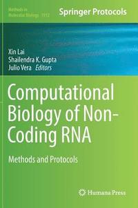 bokomslag Computational Biology of Non-Coding RNA