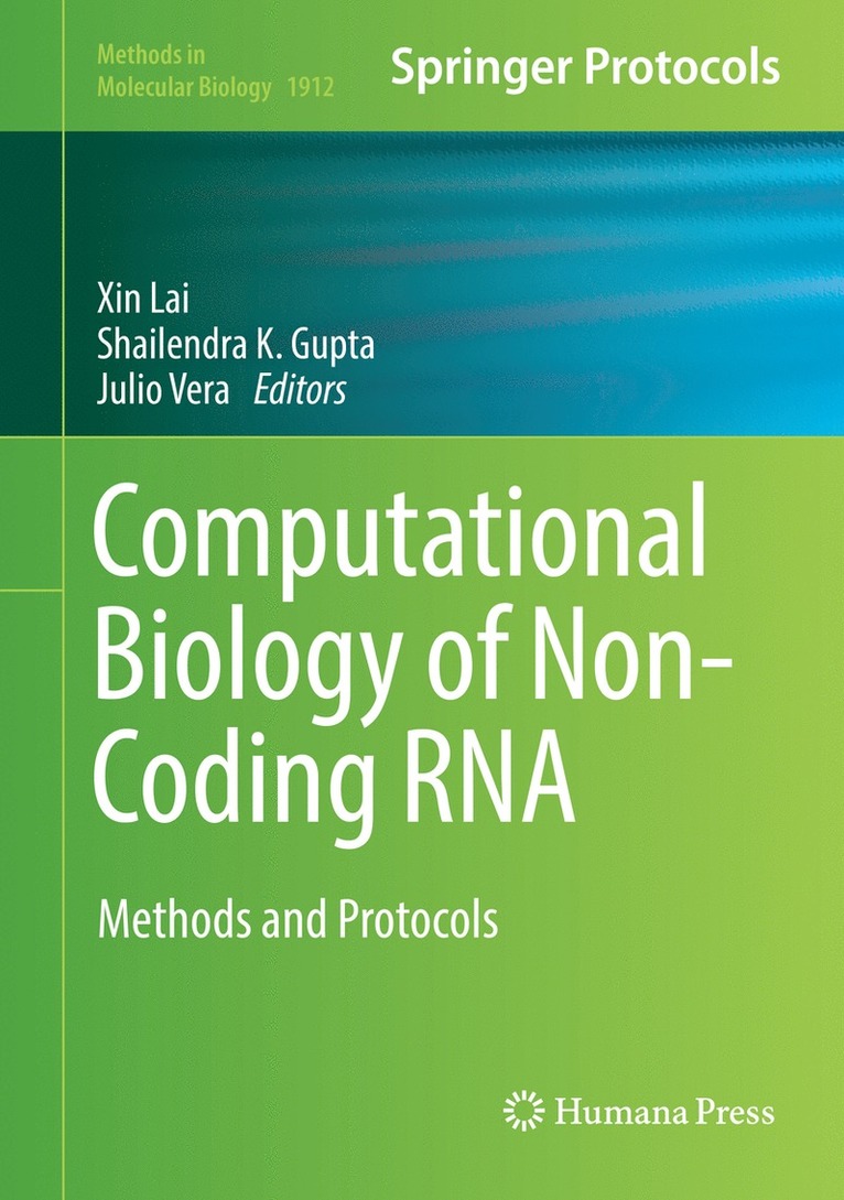 Xin Lai, Shailendra K. Gupta, Julio Vera - Computational Biology of Non-Coding RNA, Inbunden