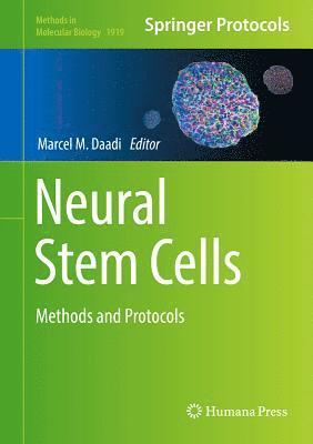 Neural Stem Cells 1