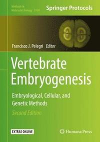 bokomslag Vertebrate Embryogenesis