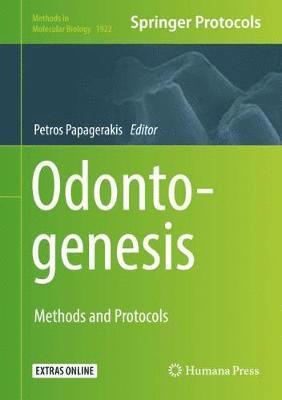 bokomslag Odontogenesis