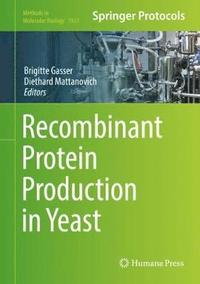 bokomslag Recombinant Protein Production in Yeast