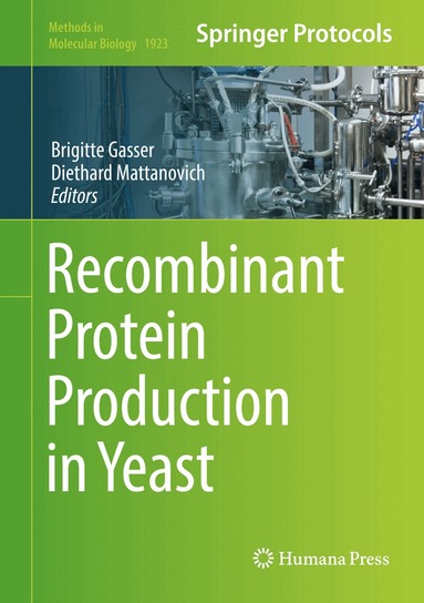 Brigitte Gasser, Diethard Mattanovich - Recombinant Protein Production in Yeast, Inbunden