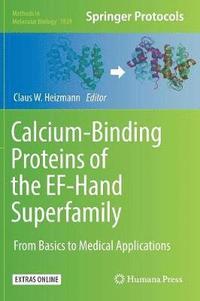bokomslag Calcium-Binding Proteins of the EF-Hand Superfamily