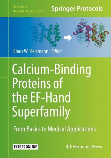 bokomslag Calcium-Binding Proteins of the EF-Hand Superfamily