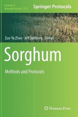 bokomslag Sorghum