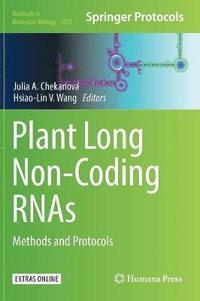 bokomslag Plant Long Non-Coding RNAs