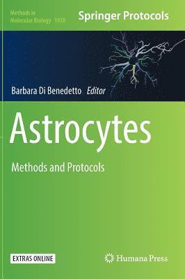 Astrocytes 1