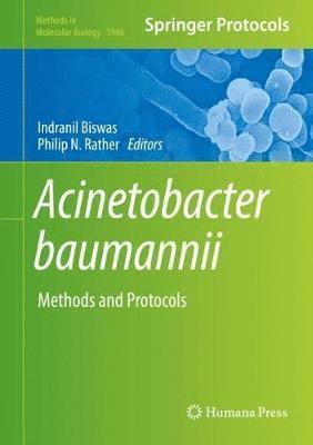 bokomslag Acinetobacter baumannii