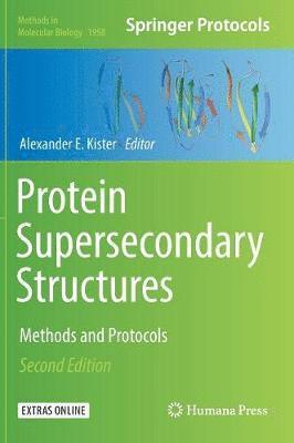 bokomslag Protein Supersecondary Structures