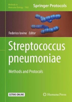 bokomslag Streptococcus pneumoniae