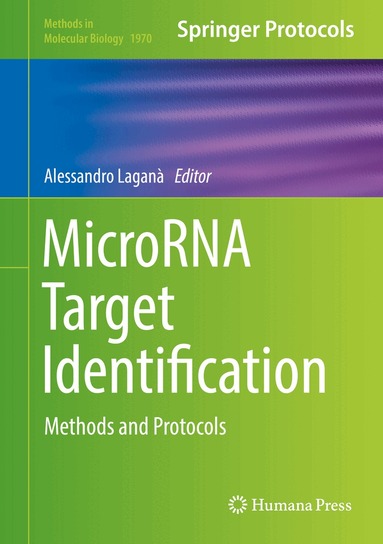 Alessandro Laganà - MicroRNA Target Identification, Inbunden