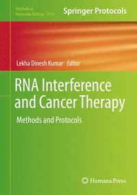 bokomslag RNA Interference and Cancer Therapy