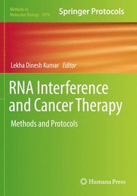 bokomslag RNA Interference and Cancer Therapy