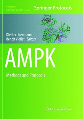 AMPK 1